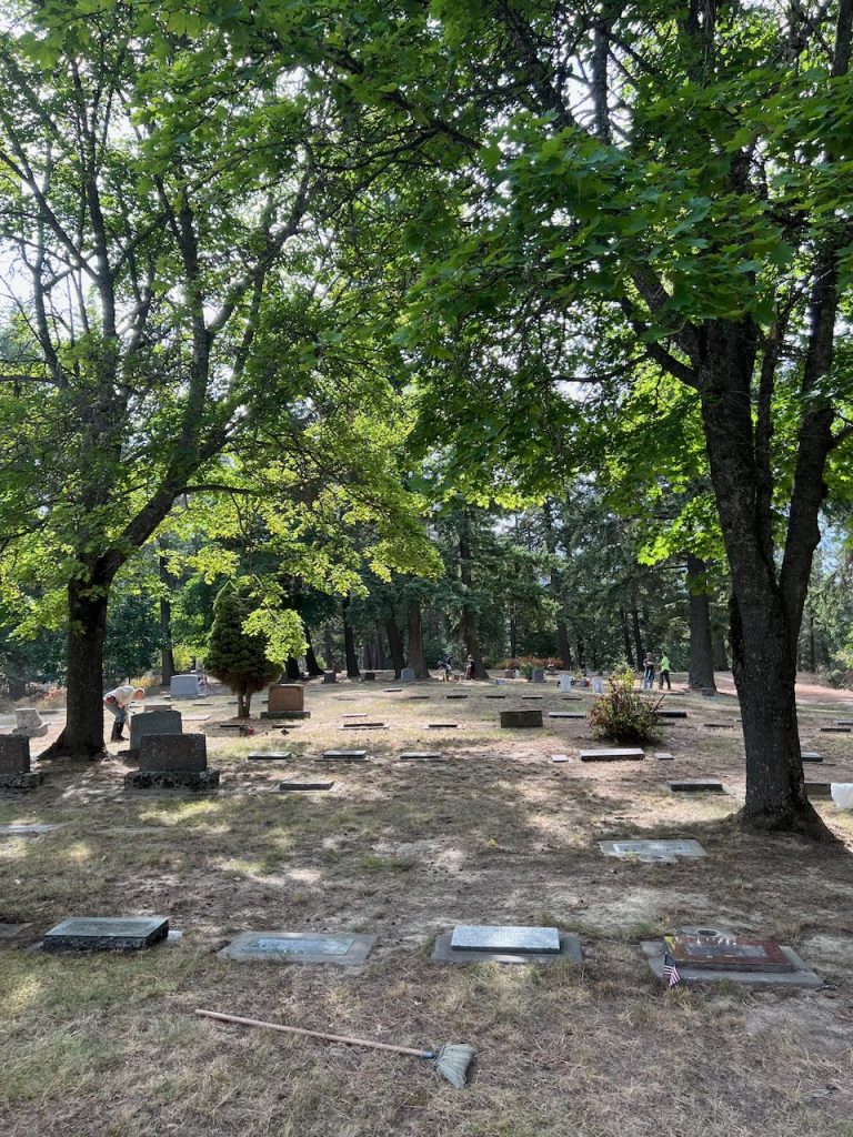 Headstones beneath the trees