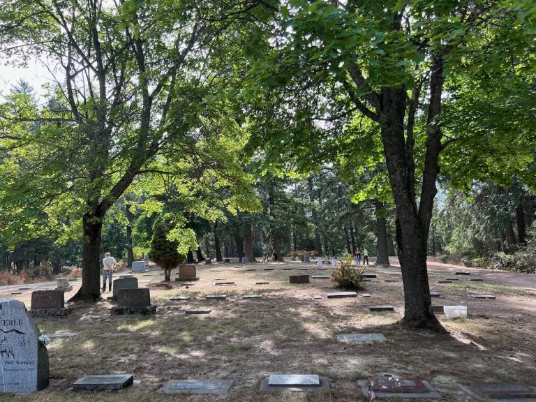 Grave markers in dappled shade