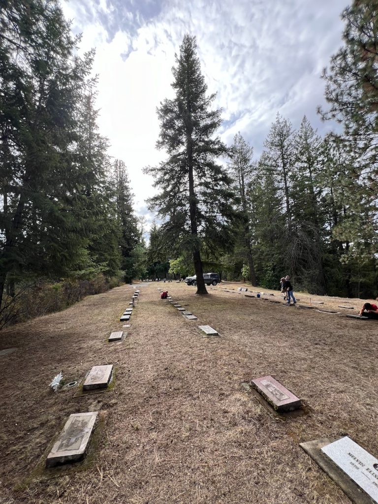 A row of flat markers through the forest