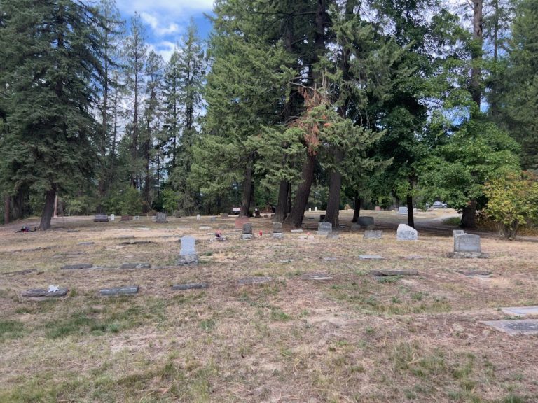 The old section among tall trees