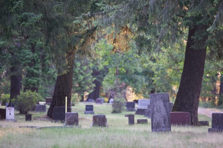 Headstones in the forested old section