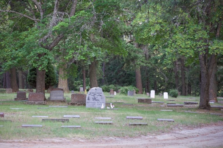 Grave markers under tall trees