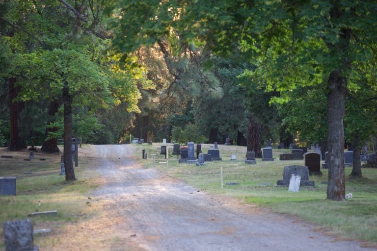 The gravel lane through the cemetery